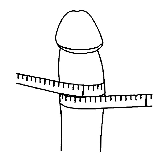 Come si misura il pene